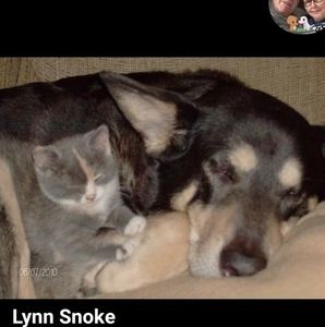 Meet your Posher, Lynn